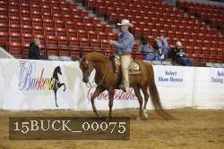 15BUCK_00075 proof