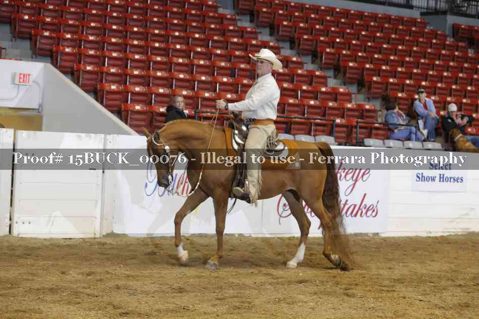 Proof 15BUCK_00076