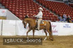 15BUCK_00076 proof