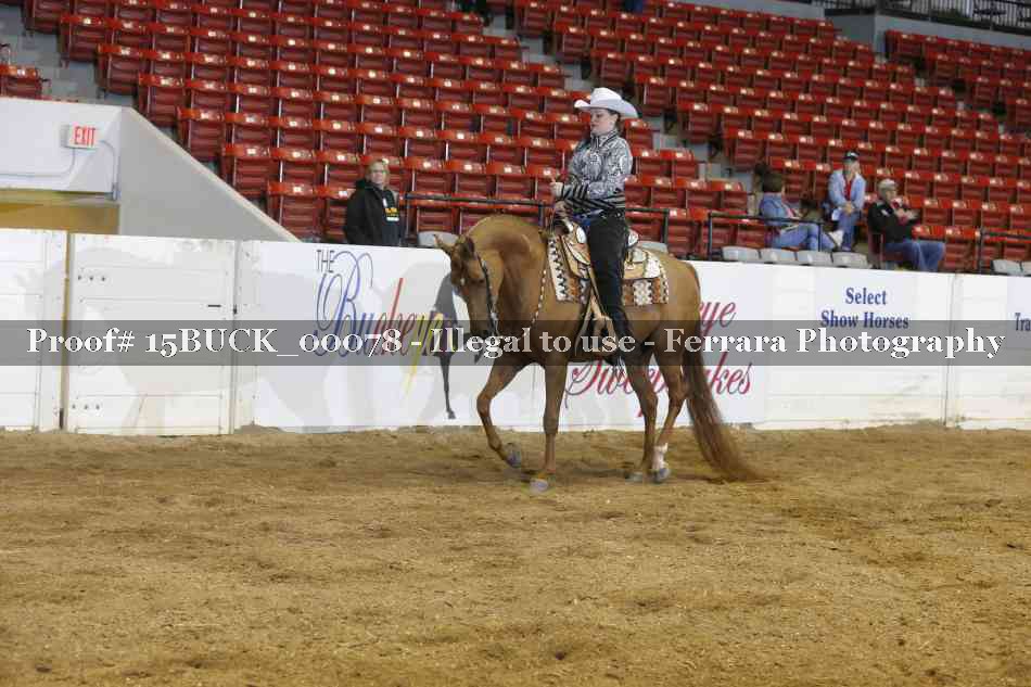 Proof 15BUCK_00078