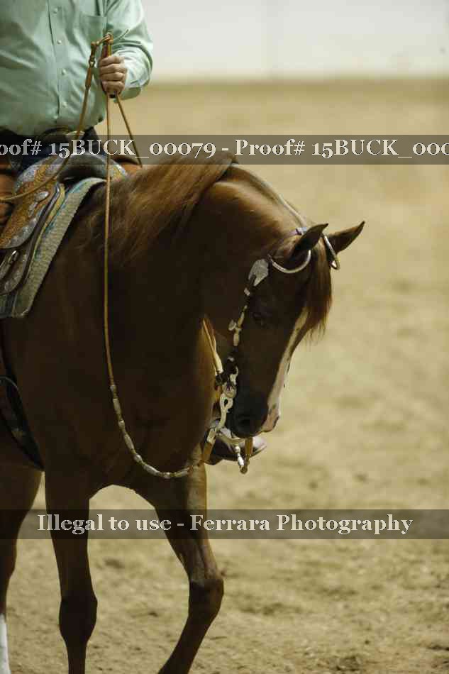Proof 15BUCK_00079