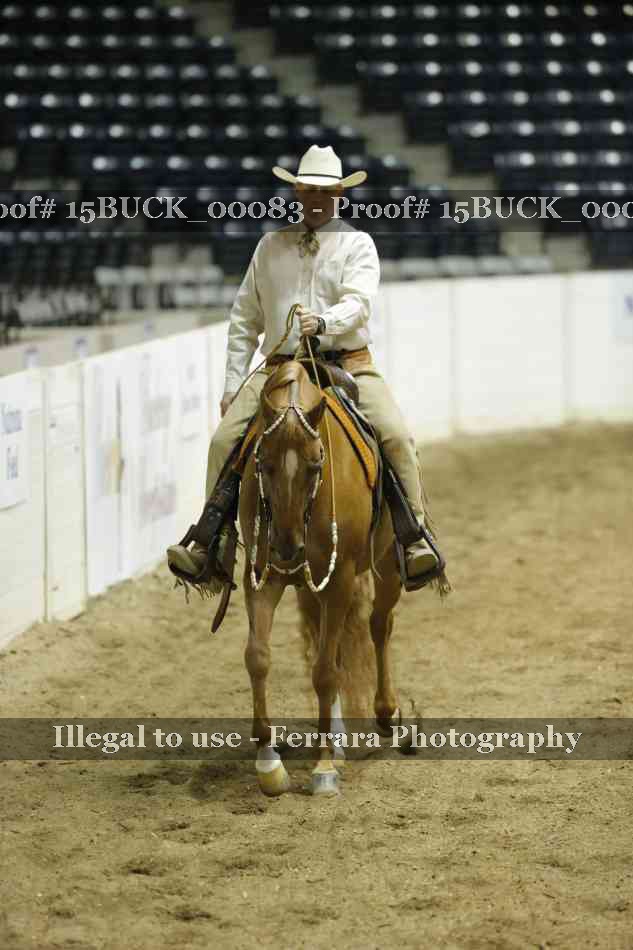 Proof 15BUCK_00083