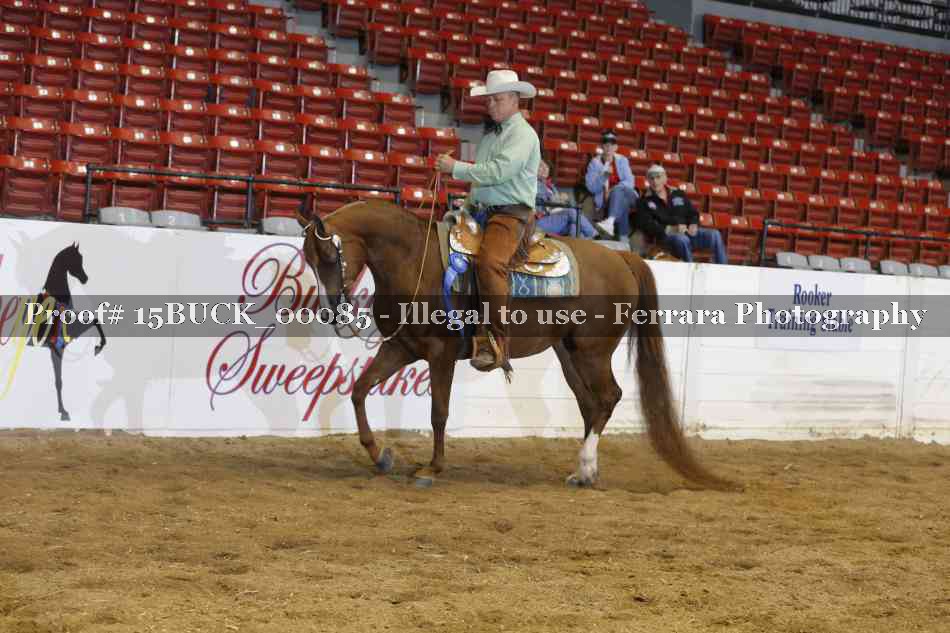 Proof 15BUCK_00085