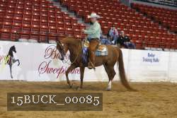 15BUCK_00085 proof