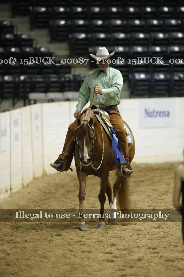 Proof 15BUCK_00087