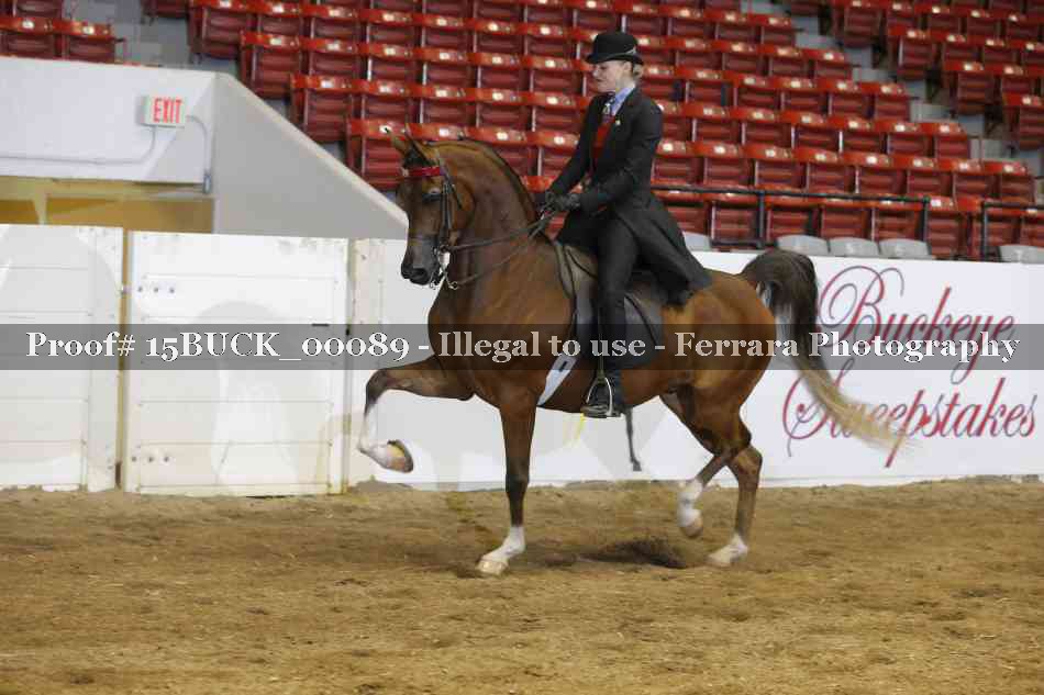 Proof 15BUCK_00089