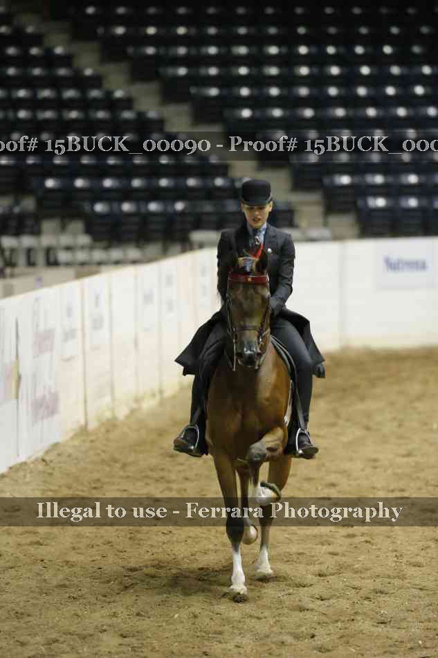Proof 15BUCK_00090