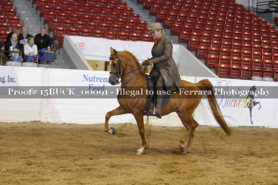Proof 15BUCK_00091