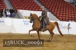 15BUCK_00091 proof