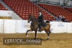 15BUCK_00092 proof