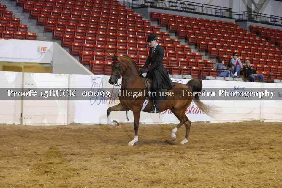 Proof 15BUCK_00093