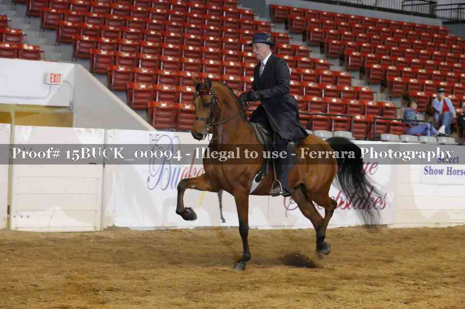 Proof 15BUCK_00094