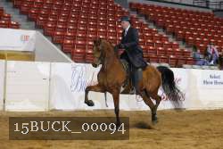 15BUCK_00094 proof