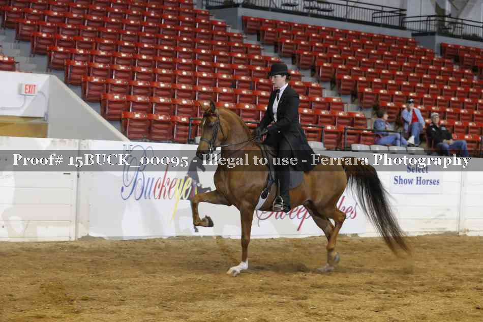 Proof 15BUCK_00095