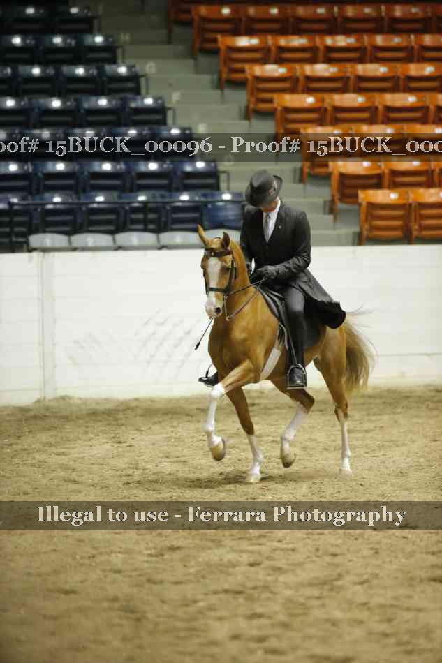 Proof 15BUCK_00096