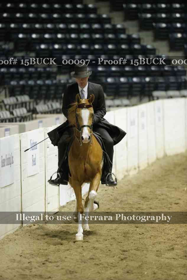 Proof 15BUCK_00097