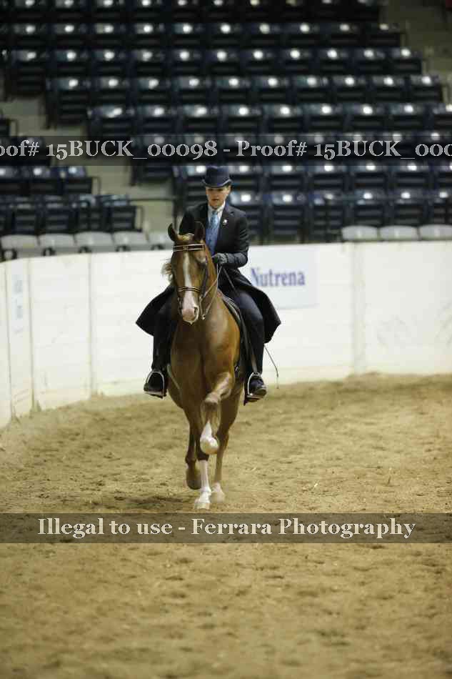 Proof 15BUCK_00098