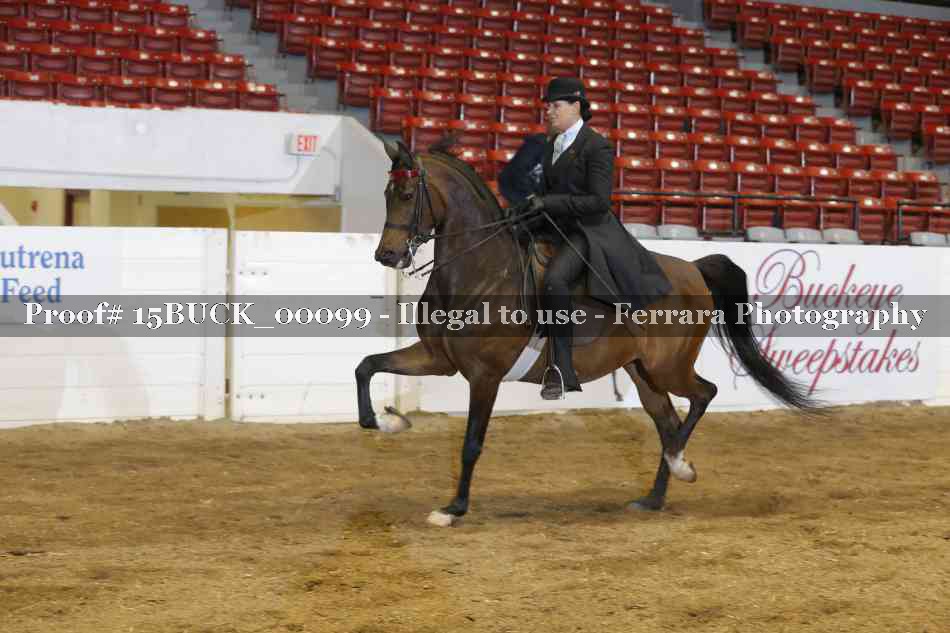 Proof 15BUCK_00099