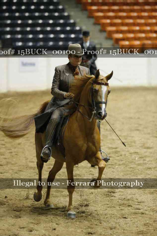 Proof 15BUCK_00100