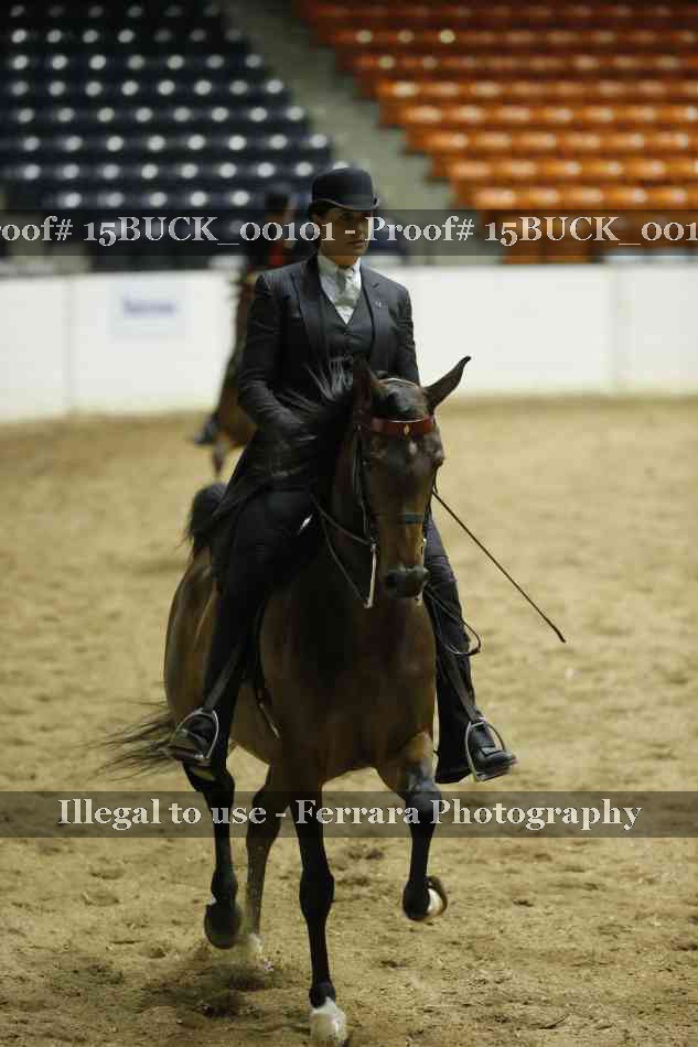 Proof 15BUCK_00101