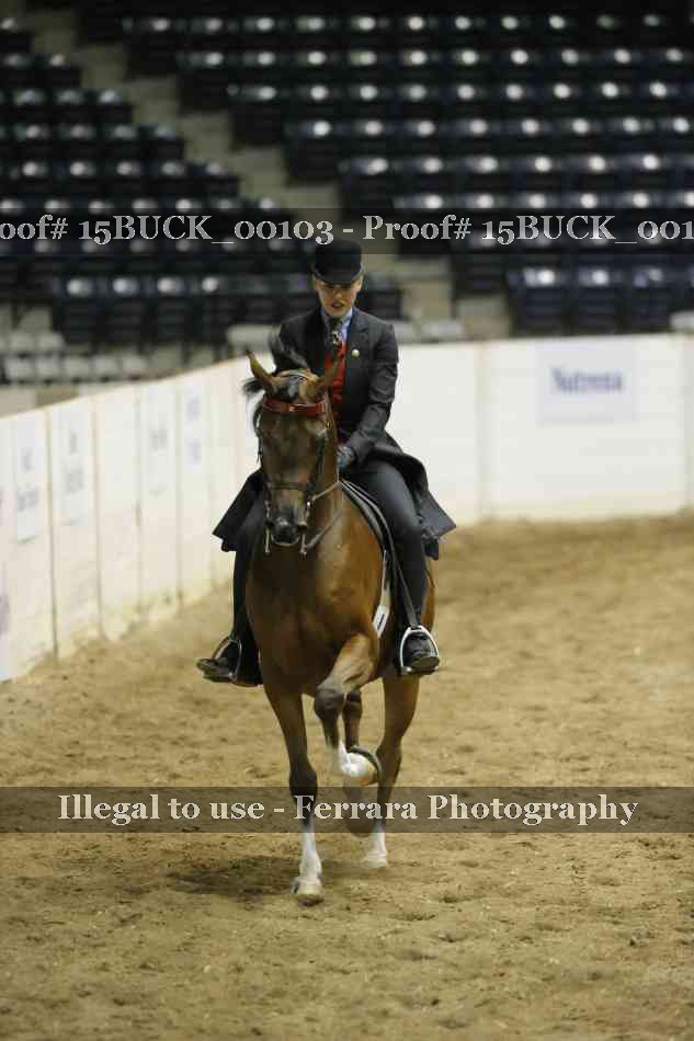 Proof 15BUCK_00103