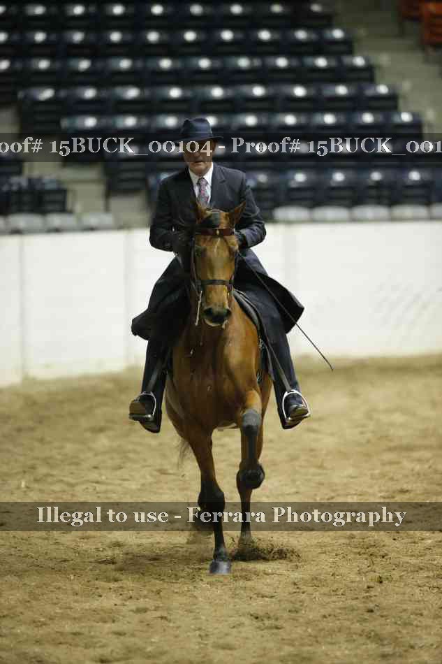 Proof 15BUCK_00104