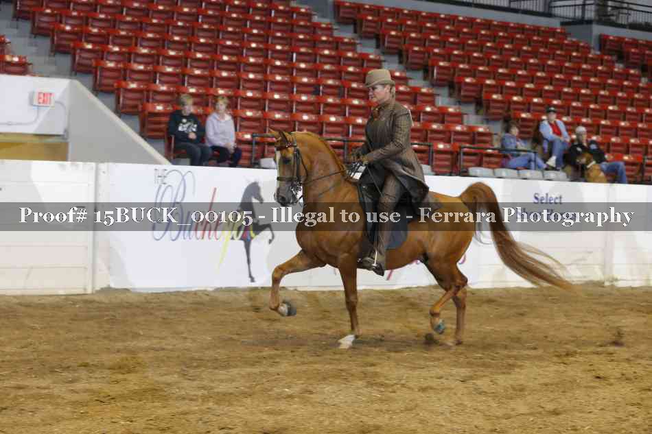 Proof 15BUCK_00105