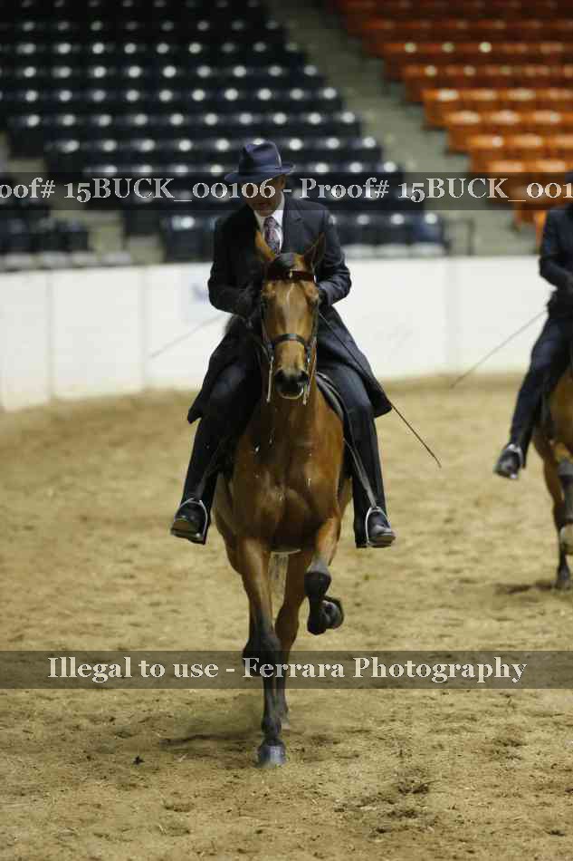 Proof 15BUCK_00106