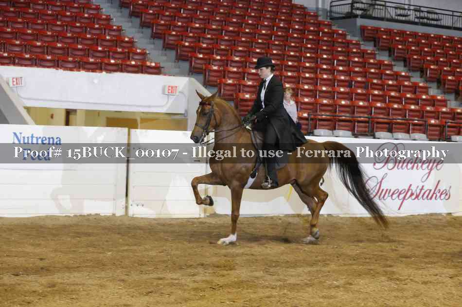 Proof 15BUCK_00107