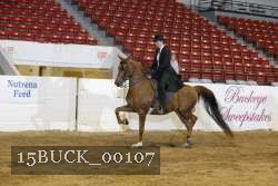 15BUCK_00107 proof