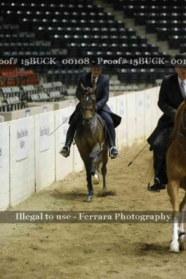 Proof 15BUCK_00108