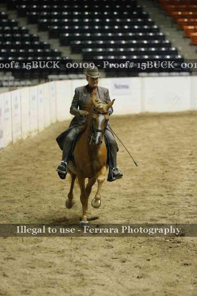 Proof 15BUCK_00109