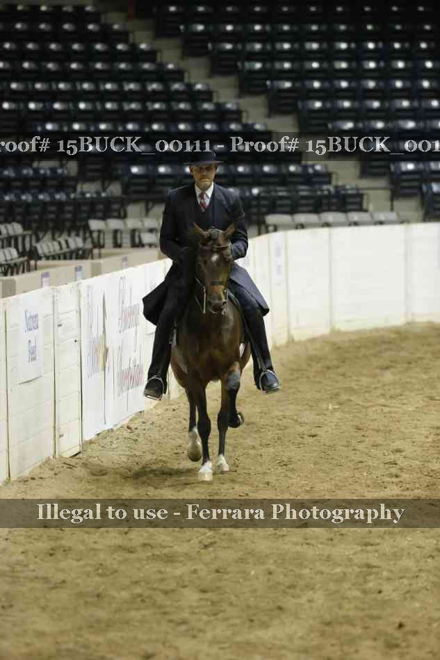 Proof 15BUCK_00111