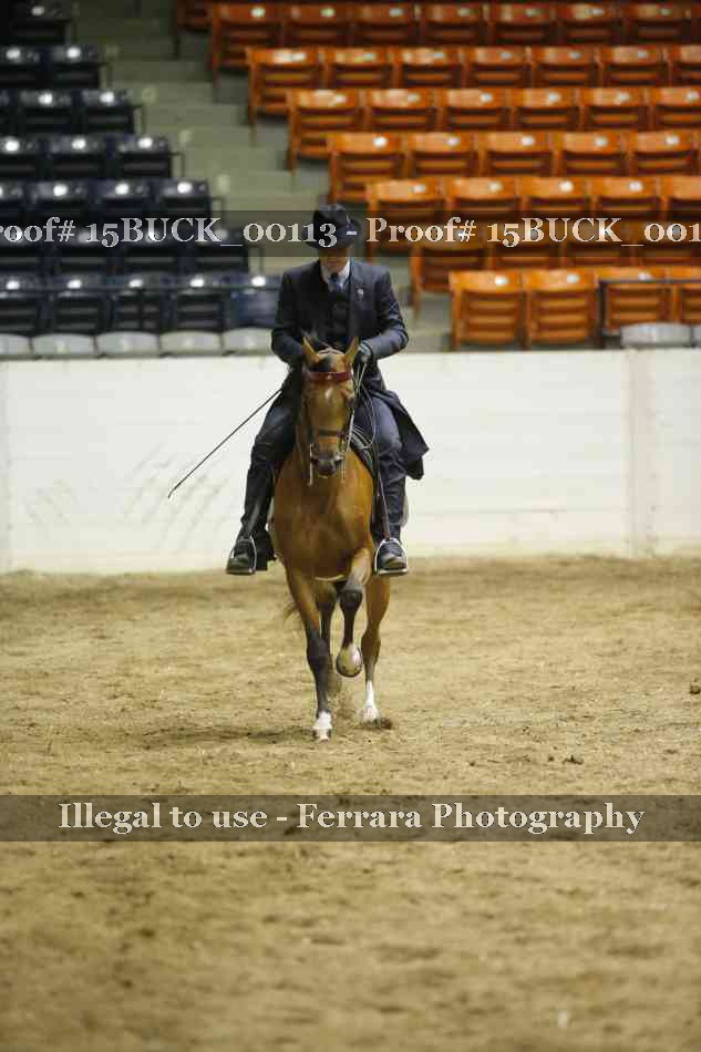 Proof 15BUCK_00113