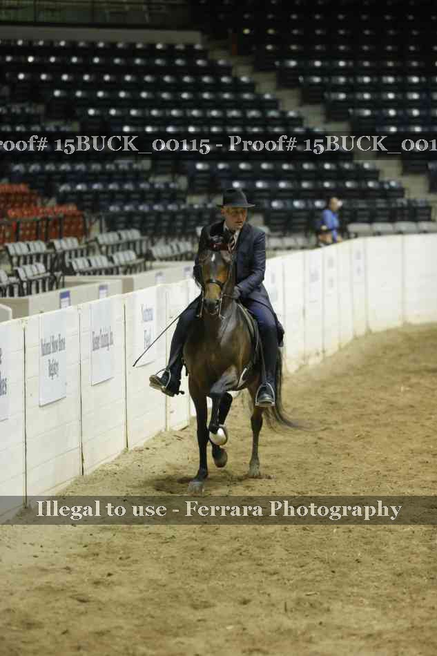 Proof 15BUCK_00115