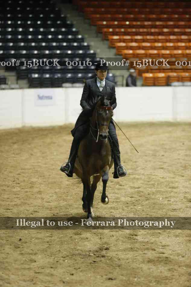 Proof 15BUCK_00116
