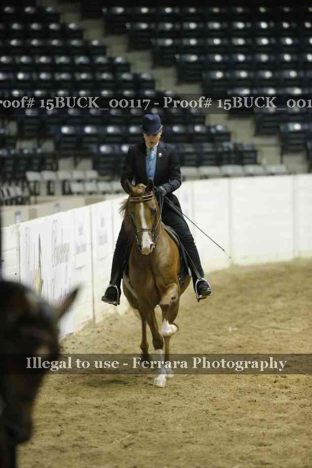 Proof 15BUCK_00117