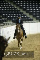 15BUCK_00117 proof