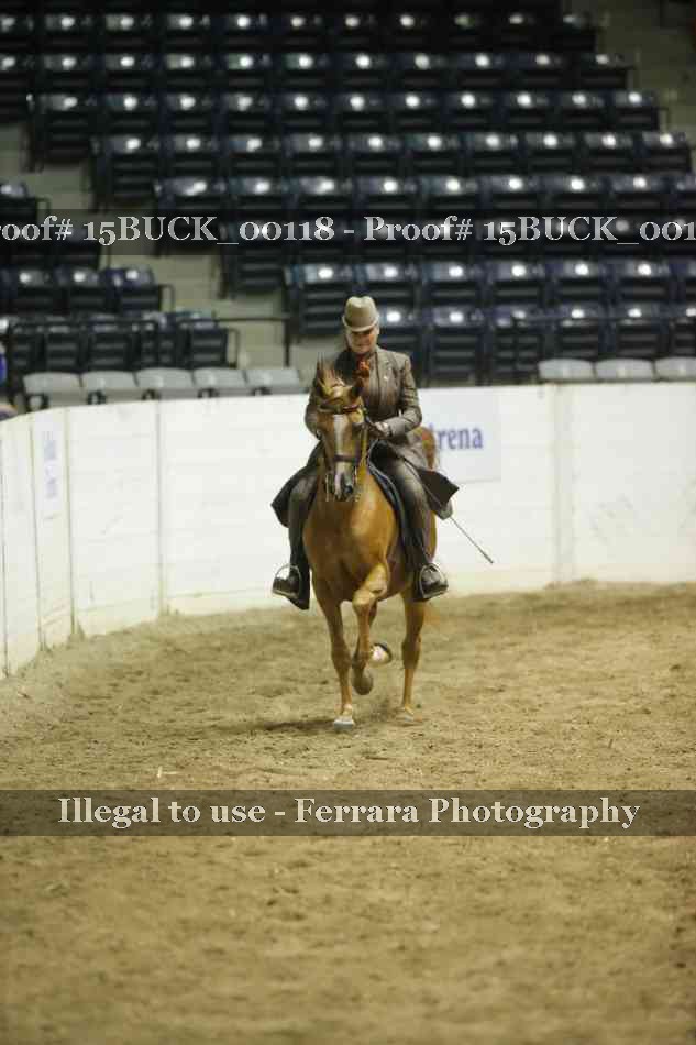Proof 15BUCK_00118