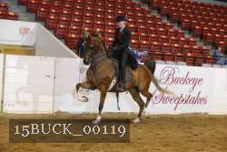 15BUCK_00119 proof