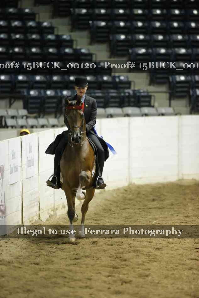 Proof 15BUCK_00120