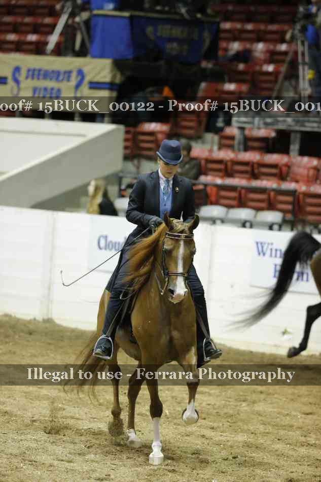 Proof 15BUCK_00122