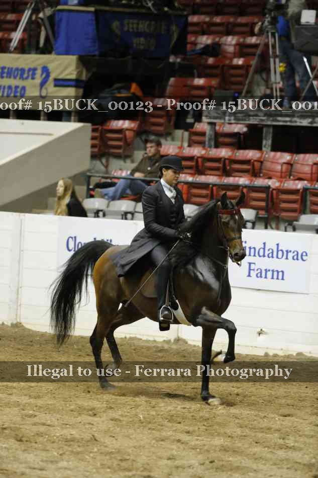 Proof 15BUCK_00123