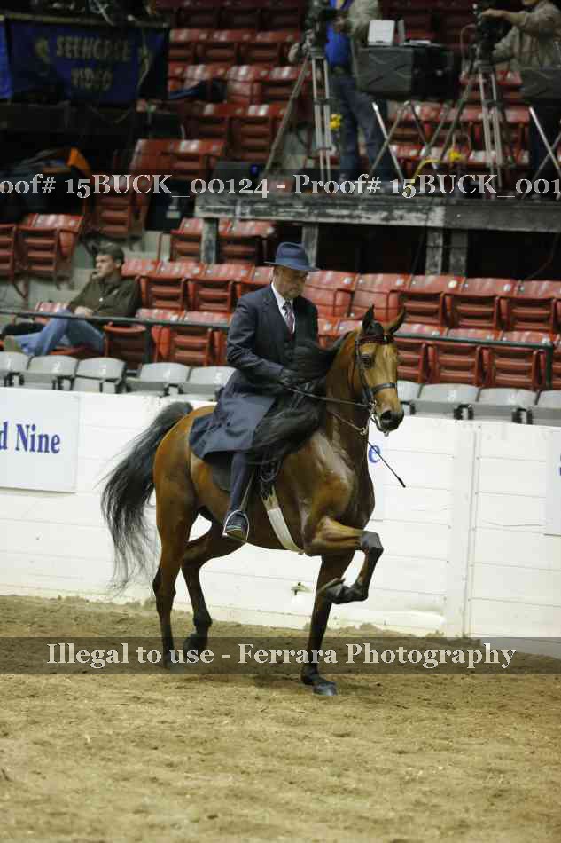 Proof 15BUCK_00124