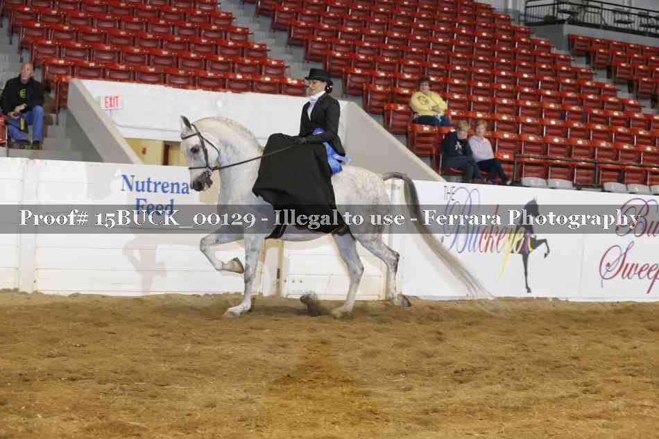 Proof 15BUCK_00129