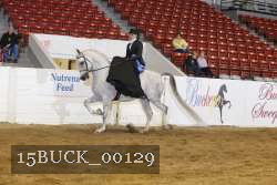 15BUCK_00129 proof