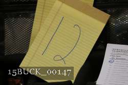 15BUCK_00147 proof