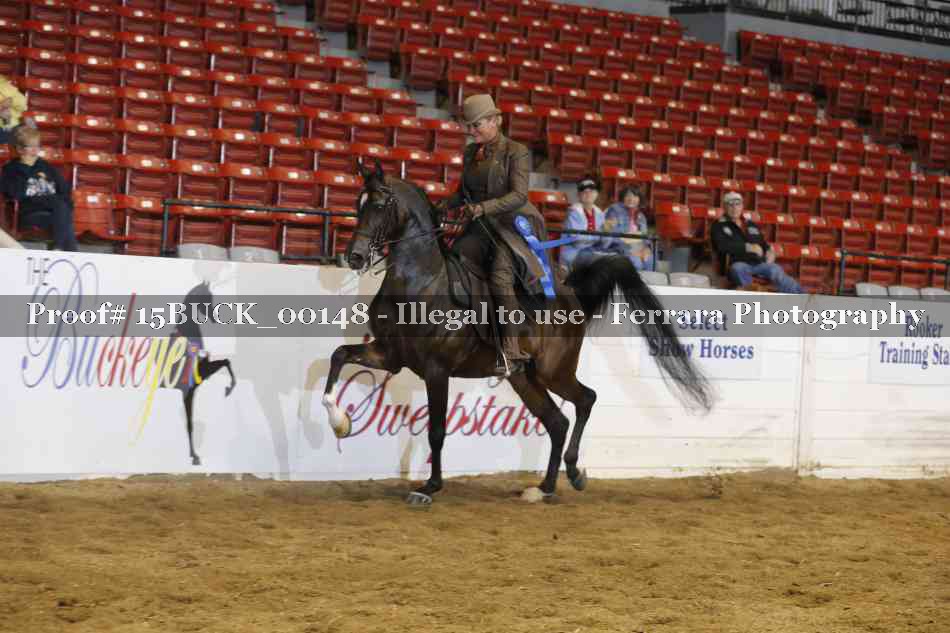 Proof 15BUCK_00148