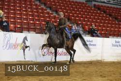 15BUCK_00148 proof