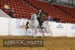 15BUCK_03275 proof